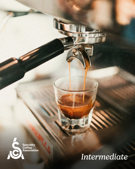 SCA Intermediate Barista Course