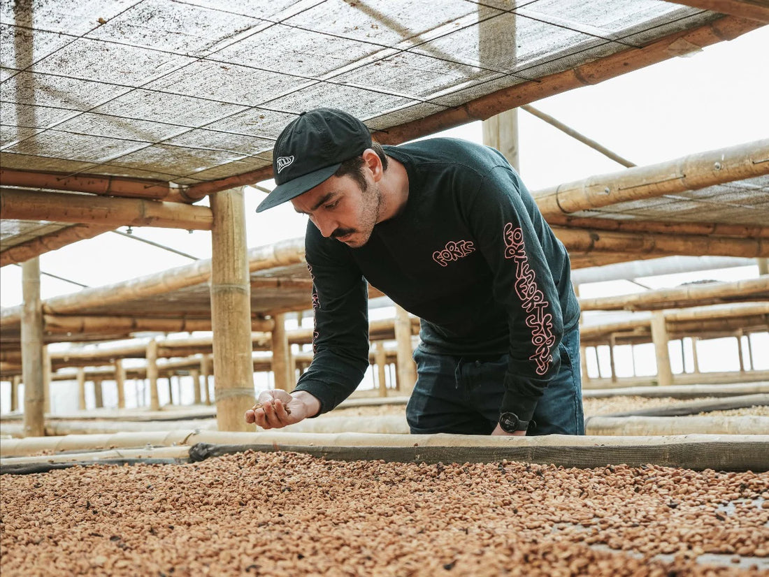 Washed and Natural Coffee