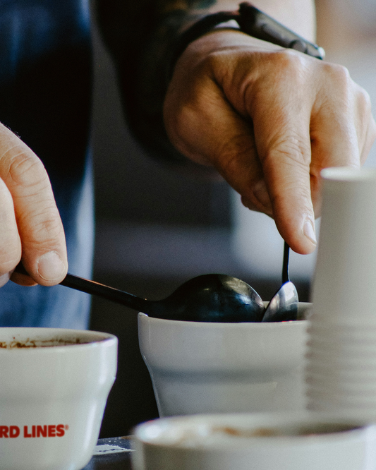 Sensory Coffee Tasting & Roastery Tour